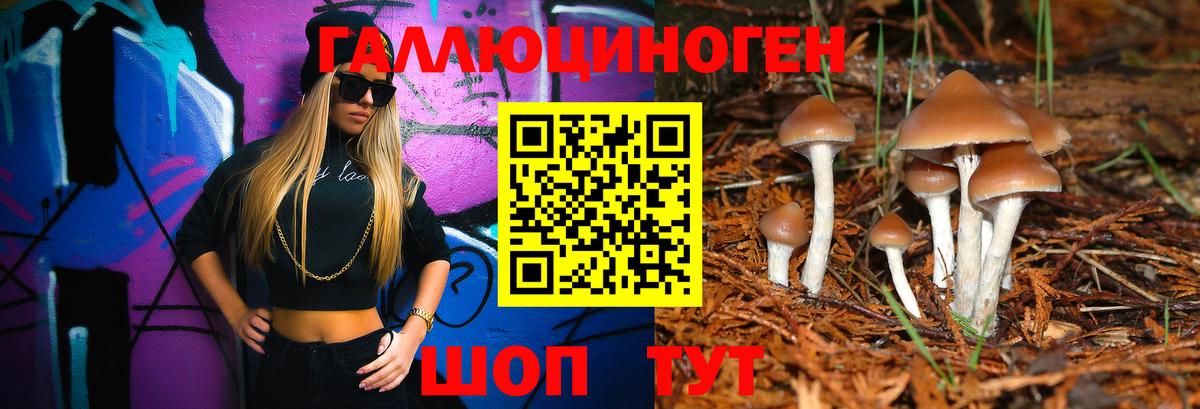 Галлюциногенные грибы Psilocybine cubensis  Вход с VPN  Электросталь 